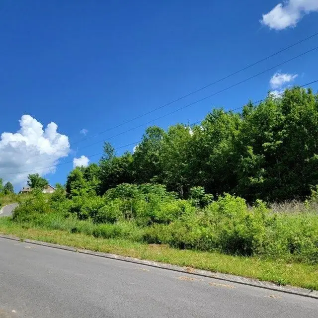 0 Hardin Rd 74 Road, Dunlap, TN 37327 - #3