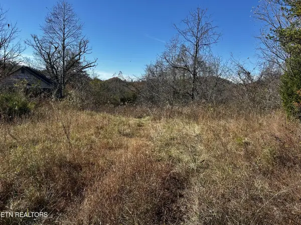 0 Shaddon Road Lot 1, Tellico Plains, TN 37385