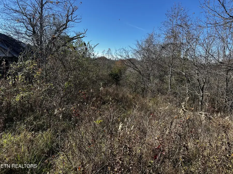 0 Shaddon Road Lot 1, Tellico Plains, TN 37385 - #2