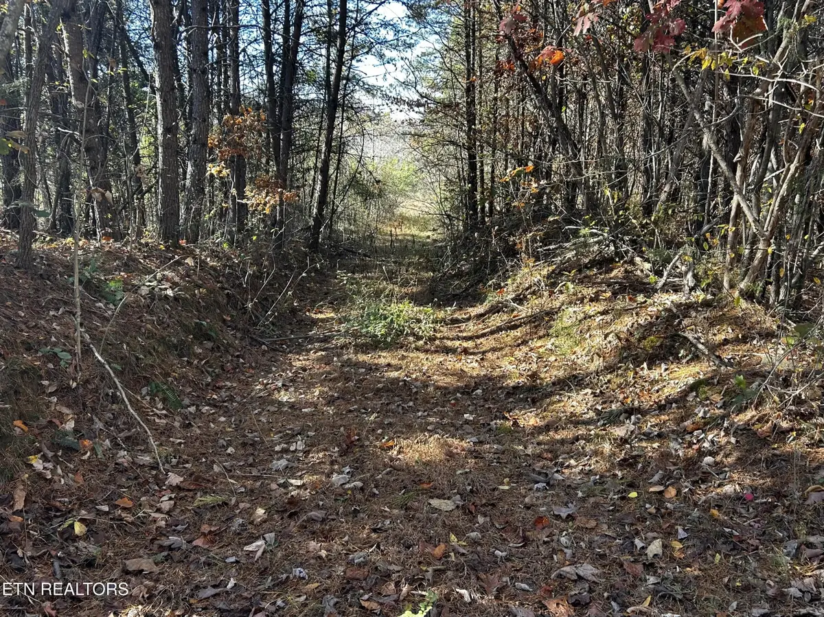 0 Shaddon Road Lot 2, Tellico Plains, TN 37385 - #1