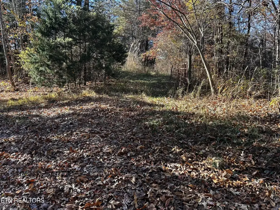 0 Shaddon Road Lot 2, Tellico Plains, TN 37385 - #2