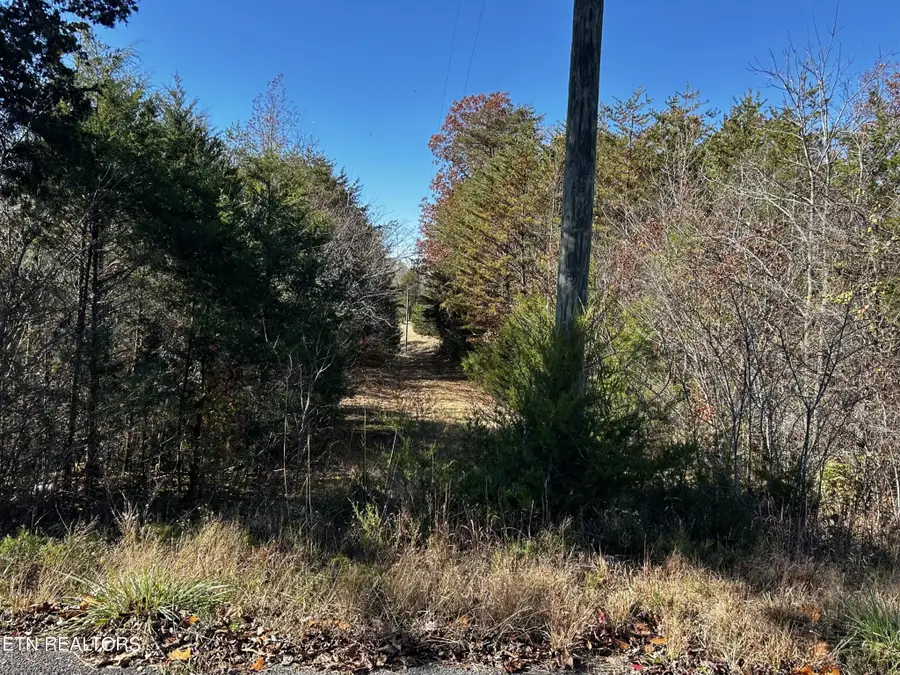 0 Shaddon Road Lot 2, Tellico Plains, TN 37385 - #3