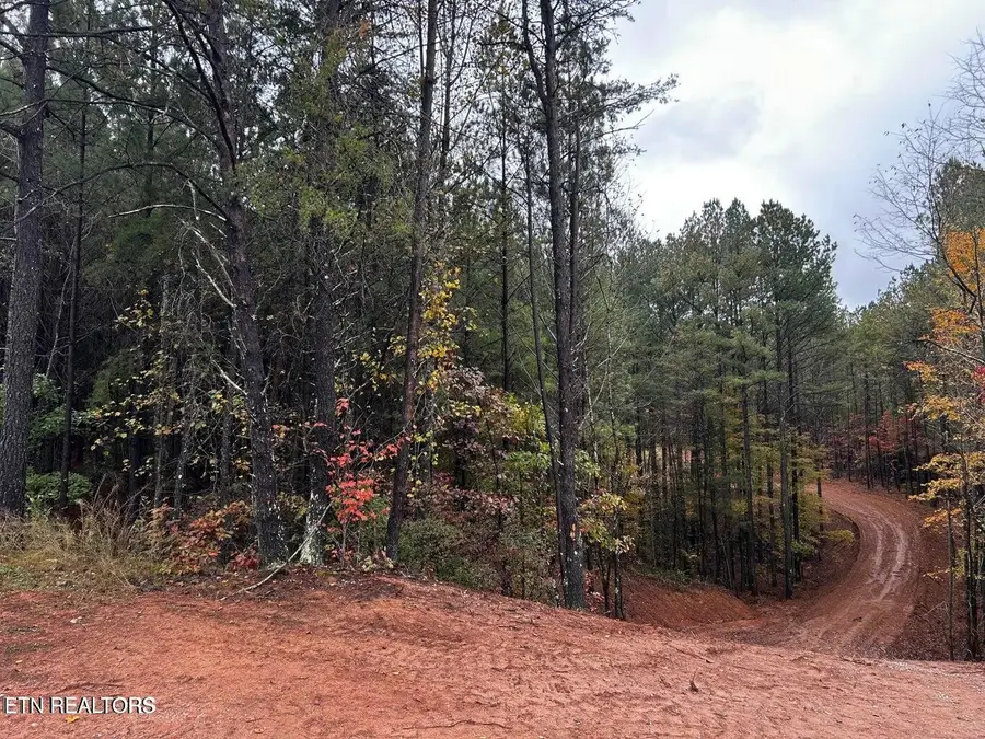 0 Ballplay Road Lot 30, Madisonville, TN 37354 - #2