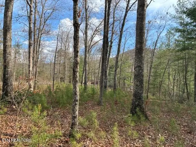0 Mountain Ash Way, Sevierville, TN 37876 - #2