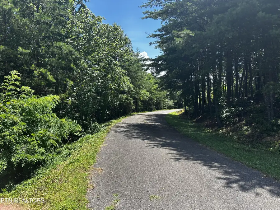 0 Highlands Bluff Rd, Tellico Plains, TN 37385 - #3