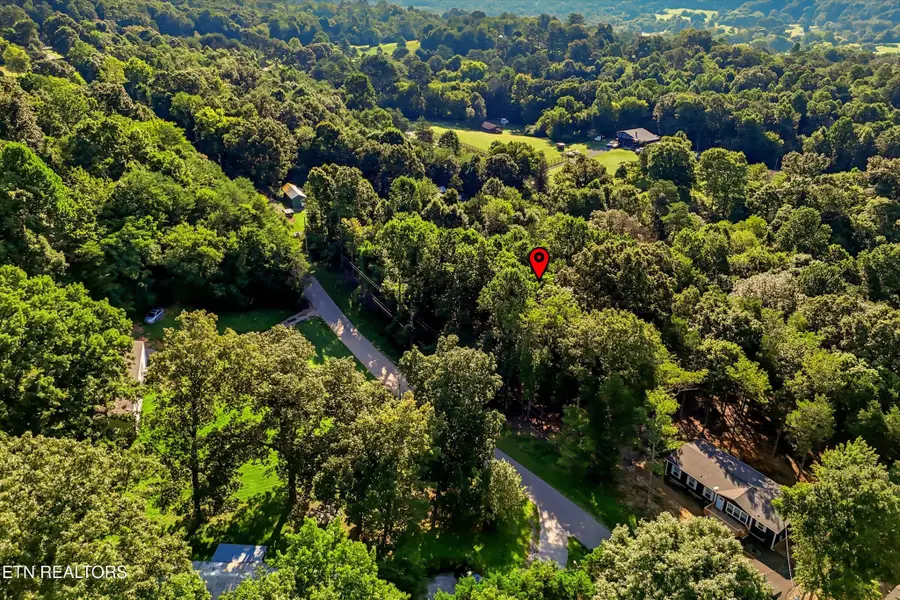 161 Pinecrest Drive, Loudon, TN 37774 - #3