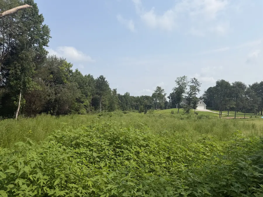 0 Aedc Lakeview Rd, Estill Springs, TN 37330 - #3