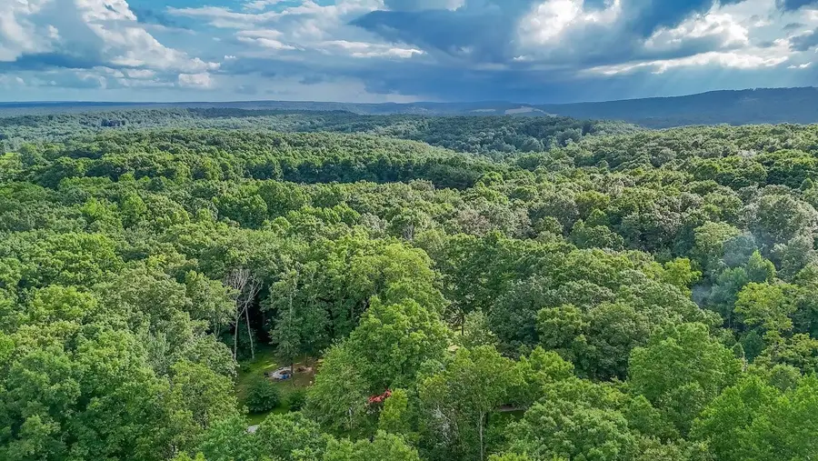 237 Chestnut Ridge Road, Spring City, TN 37381 - #3