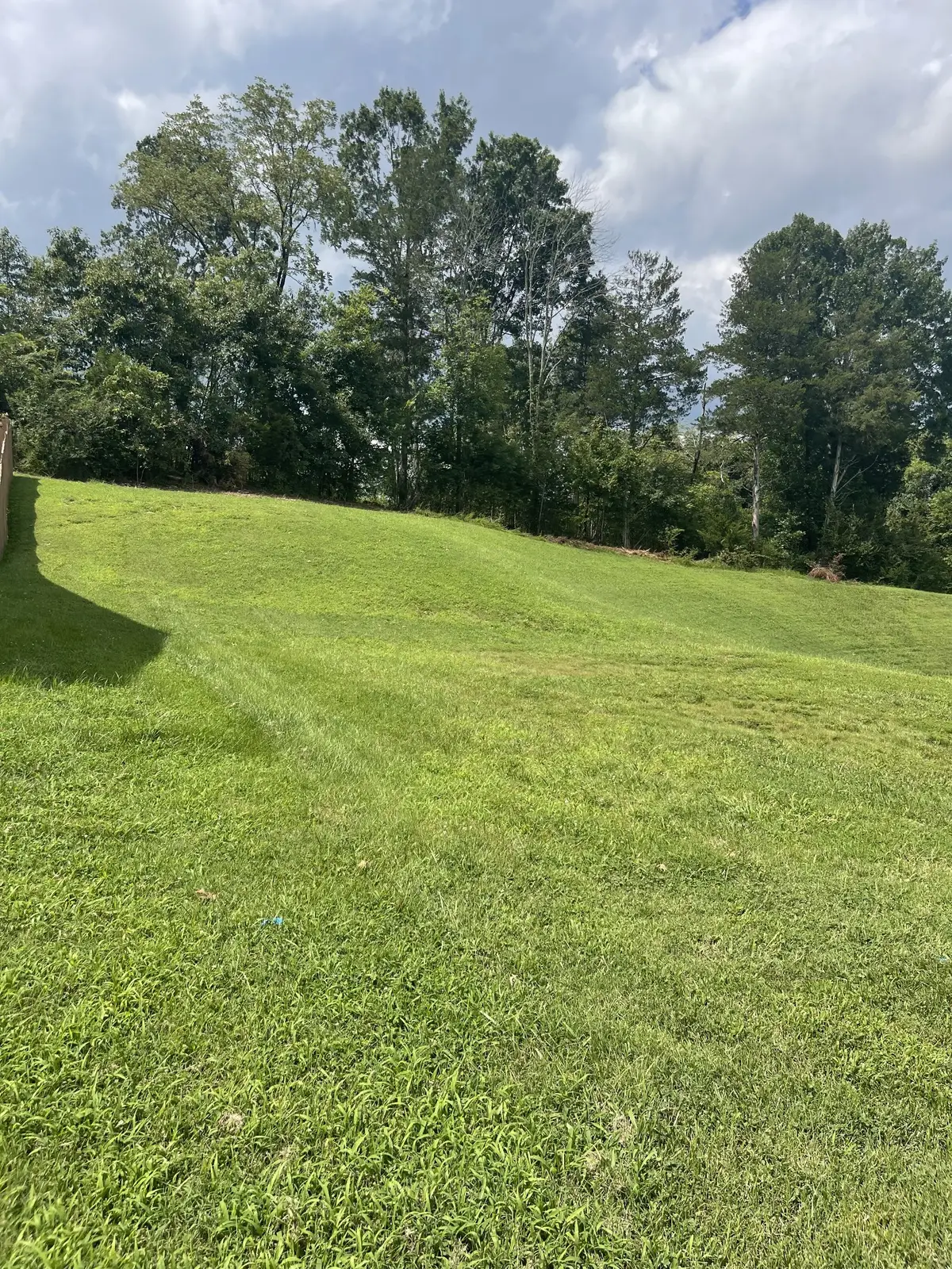 8504 Beautiful Valley Dr, Nashville, TN 37221 - #1