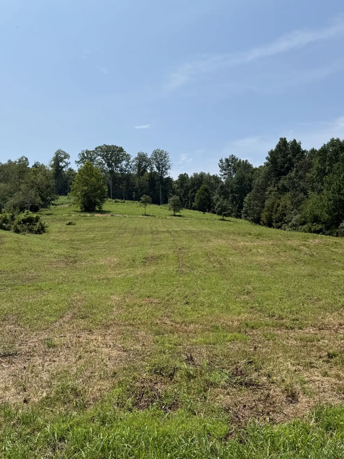 0 Hwy 13 S, Waverly, TN 37185 - #1