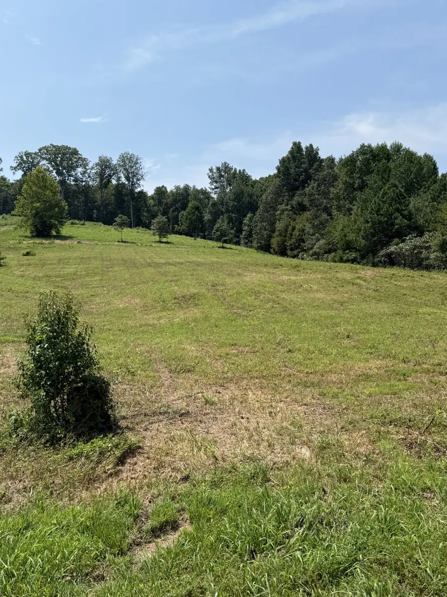 0 Hwy 13 S, Waverly, TN 37185 - #2
