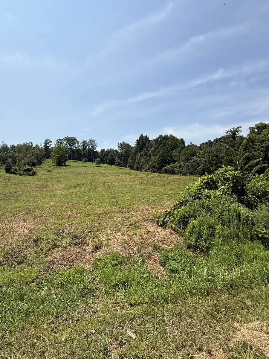 0 Hwy 13 S, Waverly, TN 37185 - #3