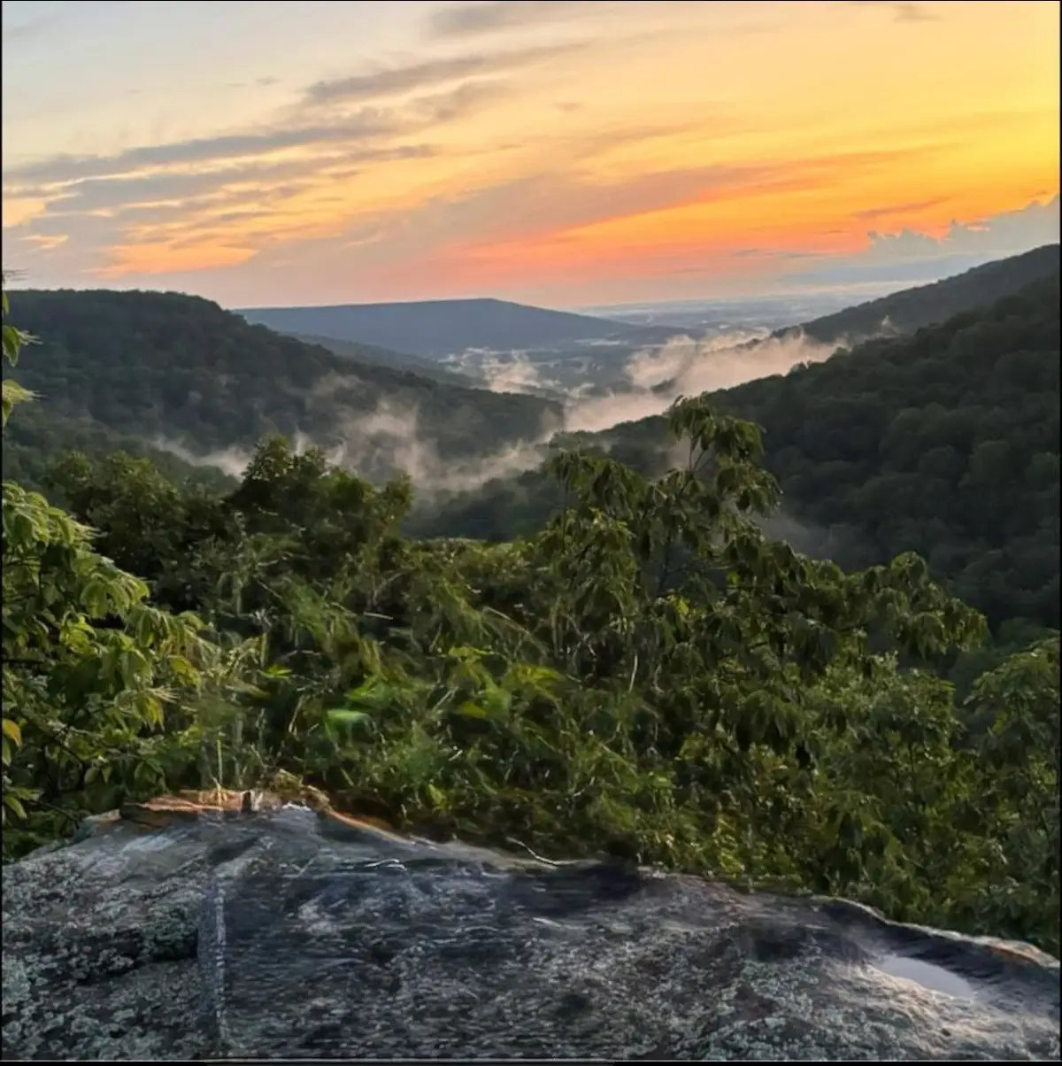 354 Little Trees Ramble, Monteagle, TN 37356 - #1