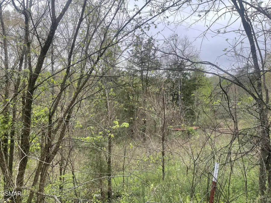 952 Stokes Valley Way, Parrottsville, TN 37843 - #2