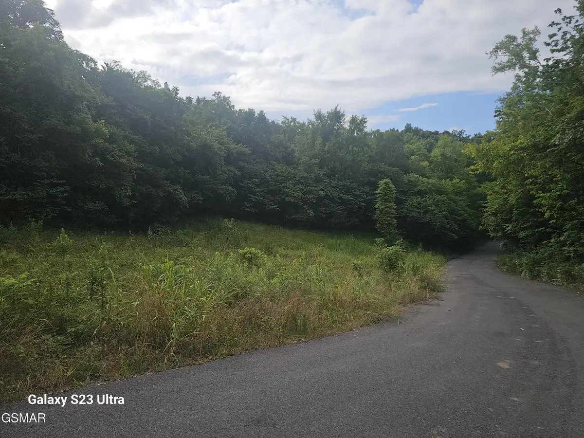 0 Ivy Way, Newport, TN 37821 - #1
