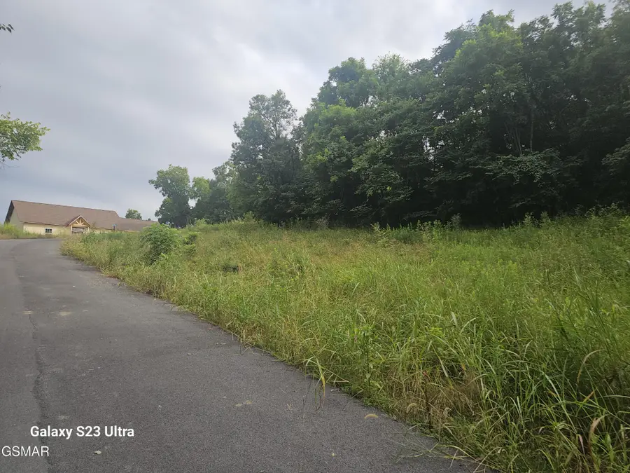 0 Ivy Way, Newport, TN 37821 - #3