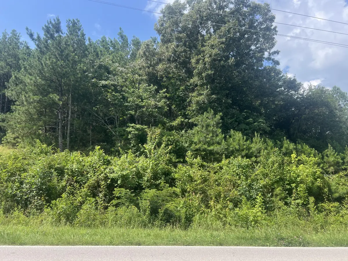 6999 Three Notch Road, Ringgold, GA 30736 - #1