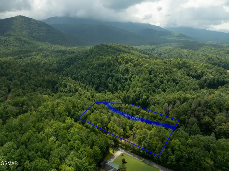 56 Ardell Way, Cosby, TN 37722 - #3