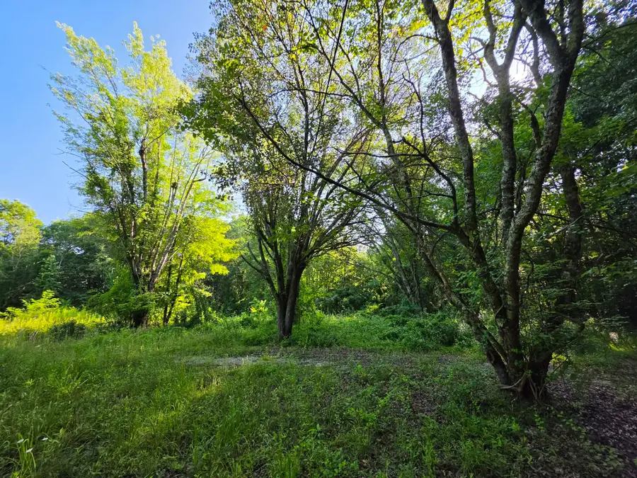 71 Myers Town Rd, Beersheba Springs, TN 37305 - #3