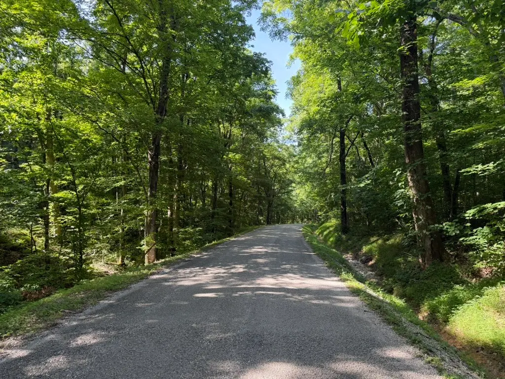 0 Roy Thompson, Mount Pleasant, TN 38474 - #1