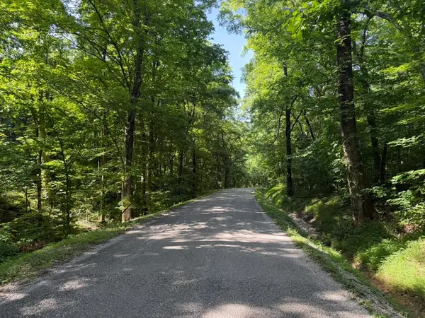 0 Roy Thompson, Mount Pleasant, TN 38474