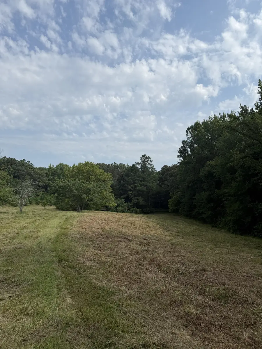 1756 Crazy Doe Rd, Lexington, TN 38351 - #2