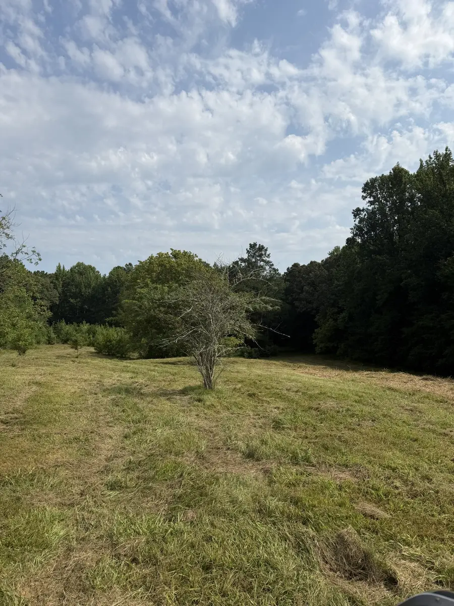 1756 Crazy Doe Rd, Lexington, TN 38351 - #3