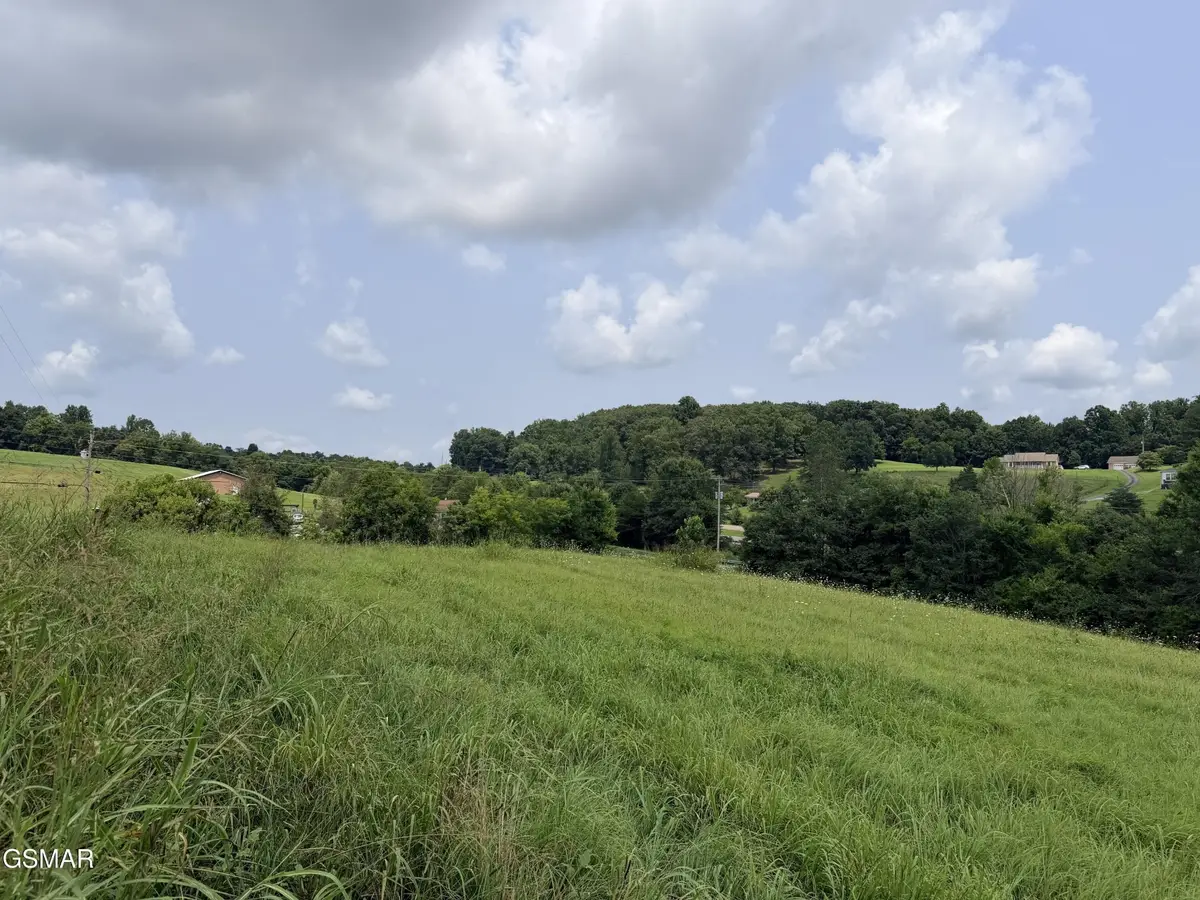 1665 Cosby Highway, Newport, TN 37821 - #1