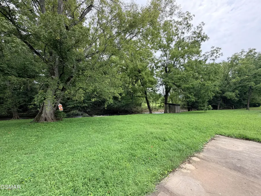 675 Catnip Road, Del Rio, TN 37727 - #3