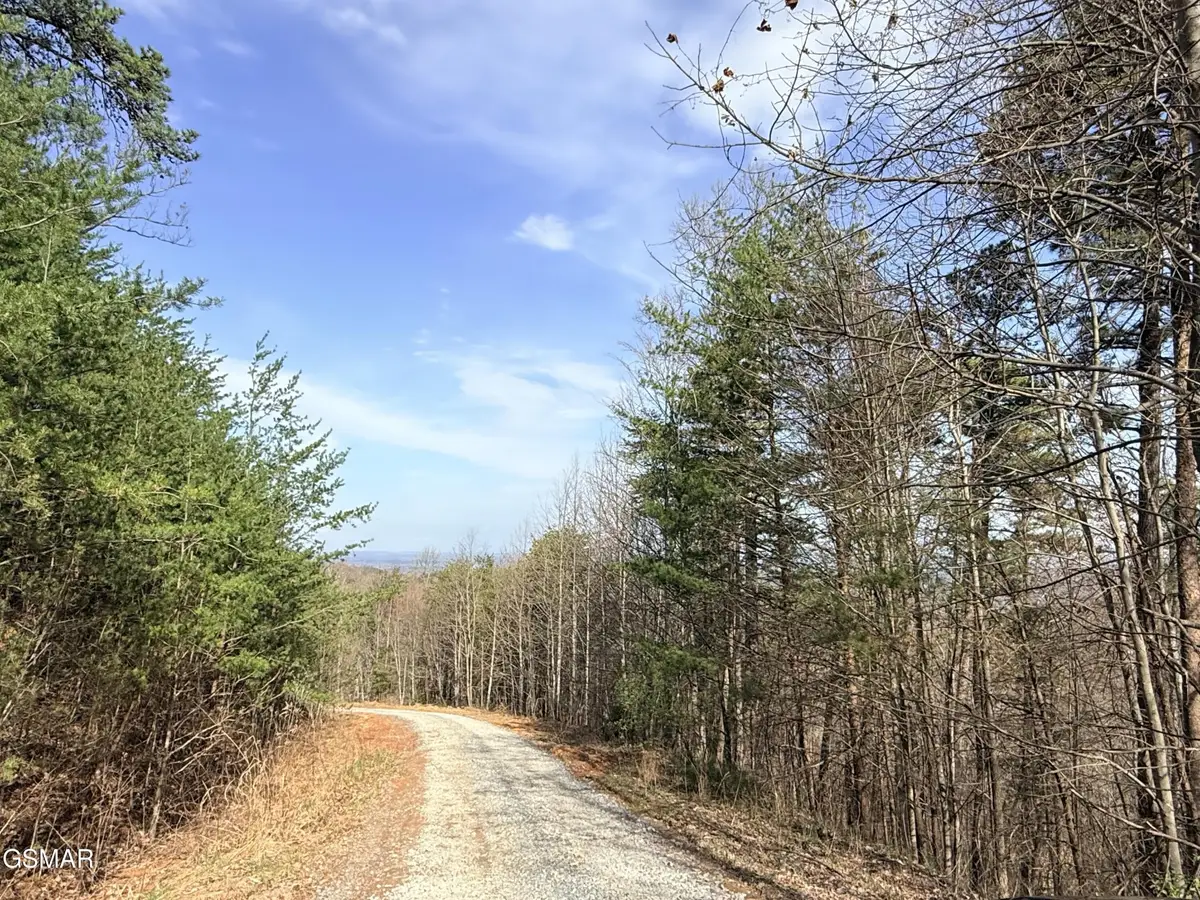 0 Trentham Road, Newport, TN 37821 - #1