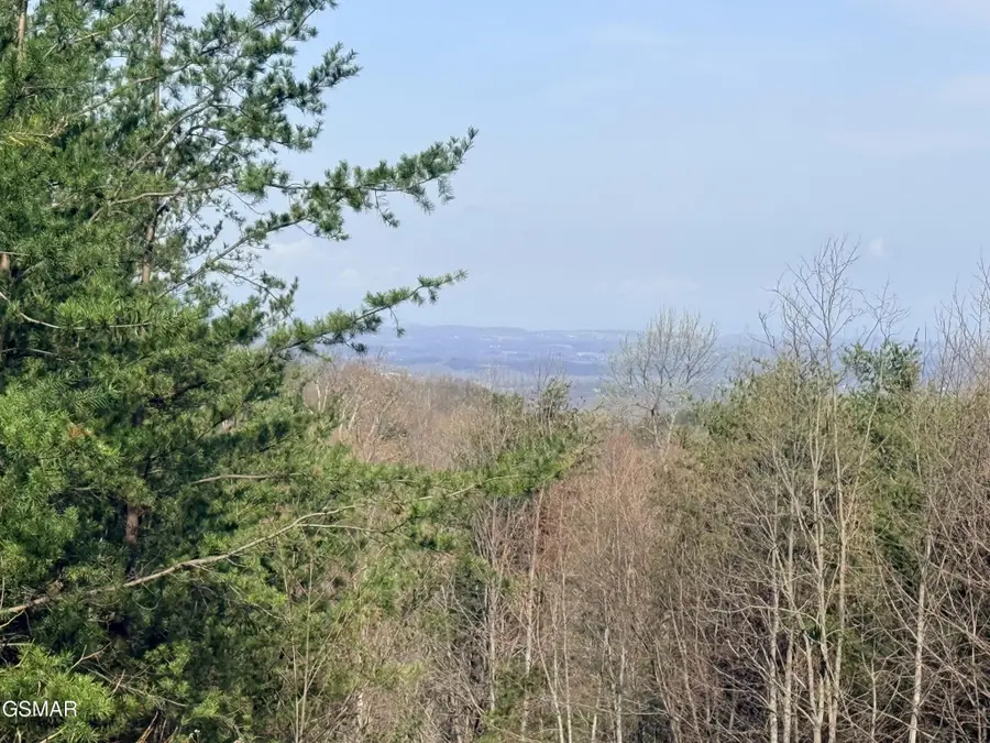 0 Trentham Road, Newport, TN 37821 - #2