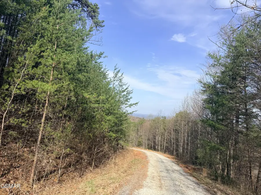 0 Trentham Road, Newport, TN 37821 - #3