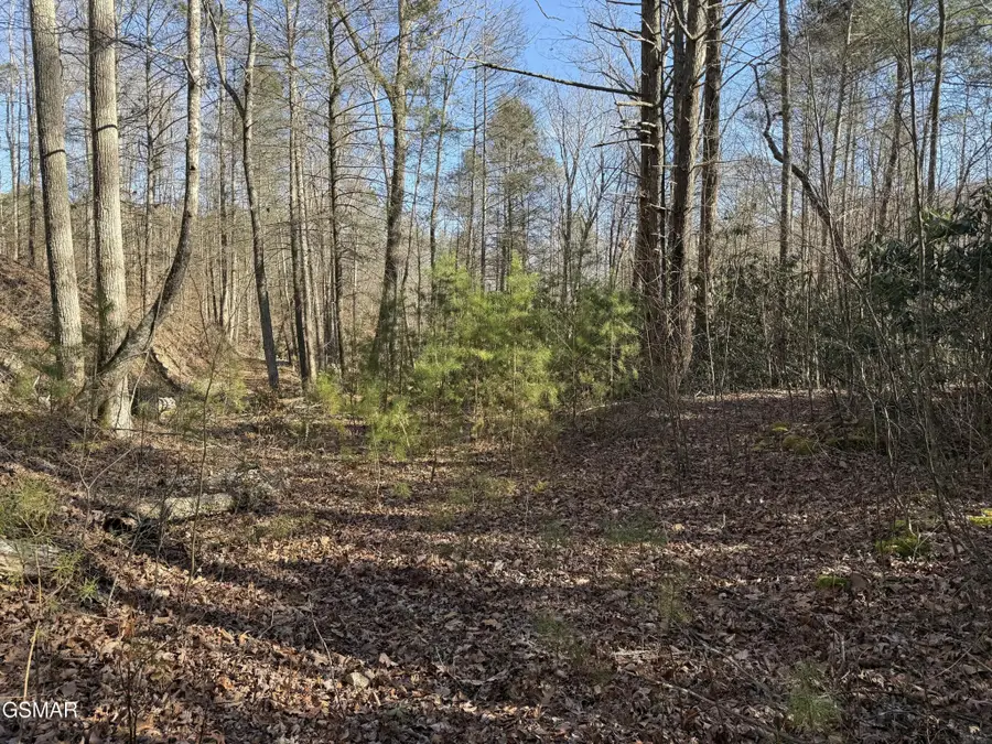 805 Bogard Creek Road, Cosby, TN 37722 - #2