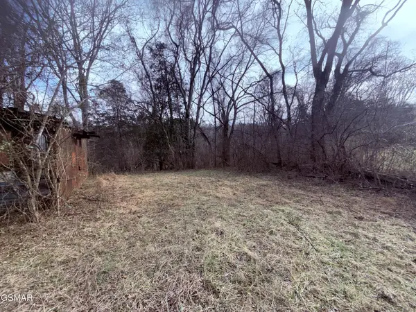0 Chickory Road, Newport, TN 37821