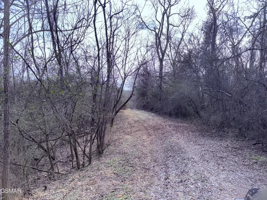 0 Chickory Road, Newport, TN 37821 - #2