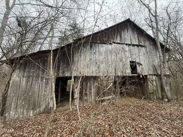 0 Off Allen Chapel Road, Parrottsville, TN 37843