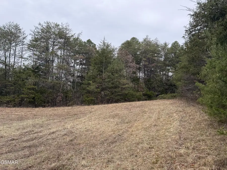 0 Off Allen Chapel Road, Parrottsville, TN 37843 - #2