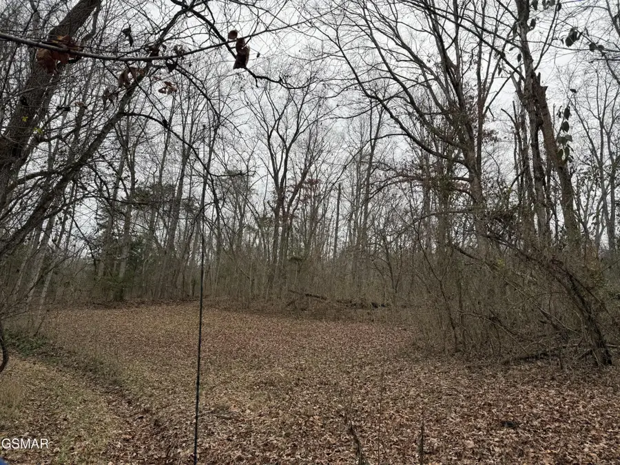 0 Off Allen Chapel Road, Parrottsville, TN 37843 - #3