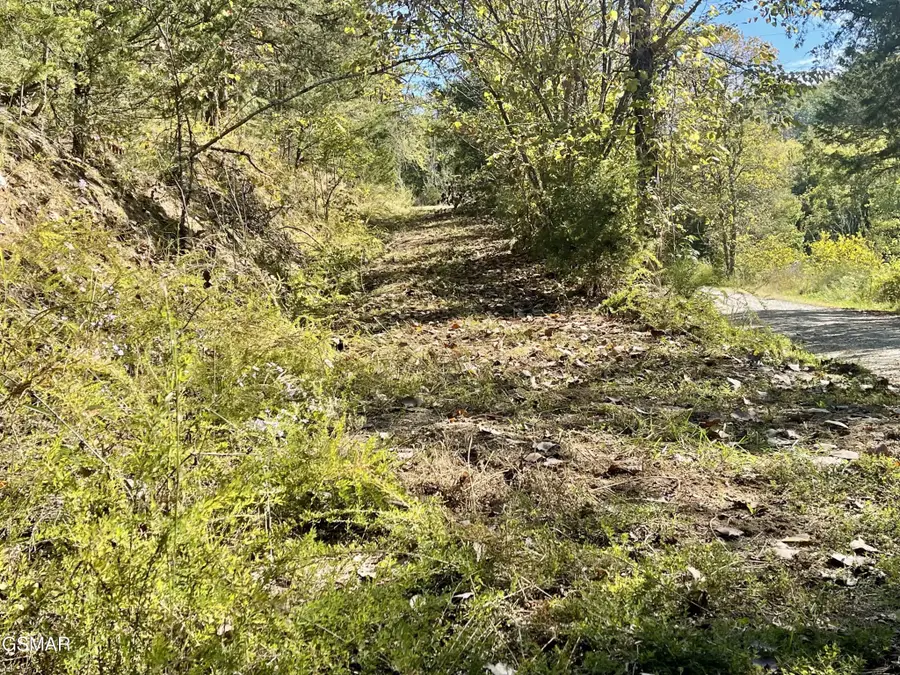 0 Thurman Road, Newport, TN 37821 - #2