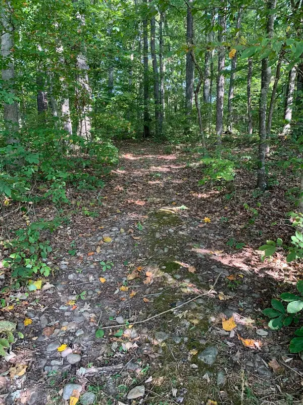 0 Glendale Road, Bybee, TN 37713
