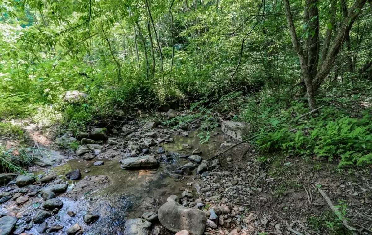 1120 Yellow Springs Road, Cosby, TN 37722 - #1