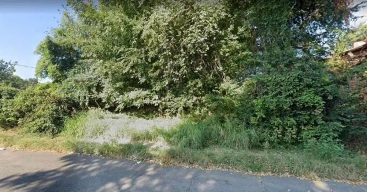 829 Porter St, Memphis, TN 38126 - #1