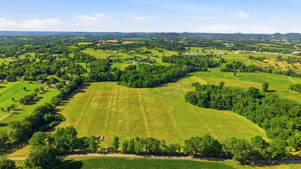 0 Ben Armstrong Road, Castalian Springs, TN 37031