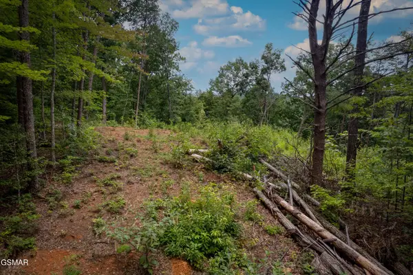 2 Verless Ogle, Sevierville, TN 37876