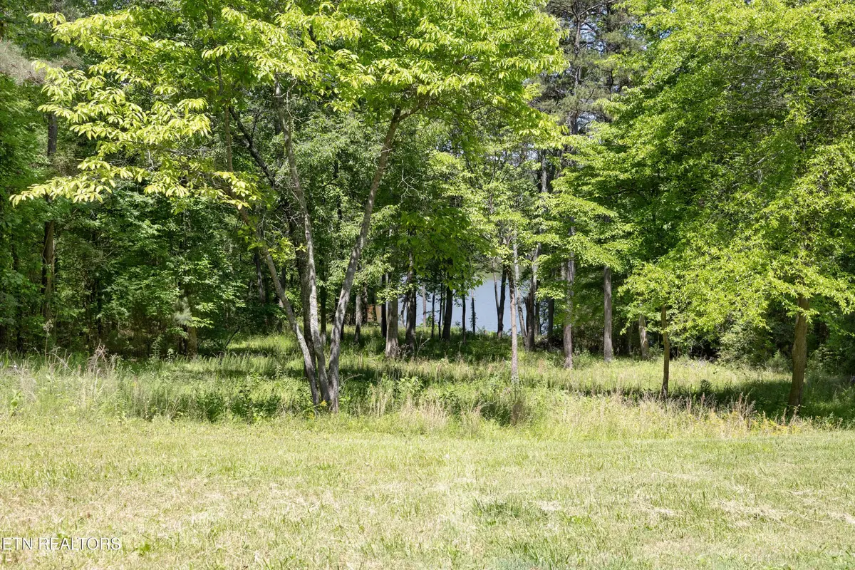 772 Wood Duck Drive, Vonore, TN 37885 - #1