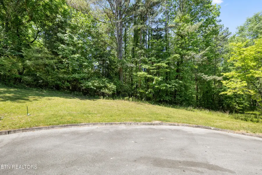 772 Wood Duck Drive, Vonore, TN 37885 - #3