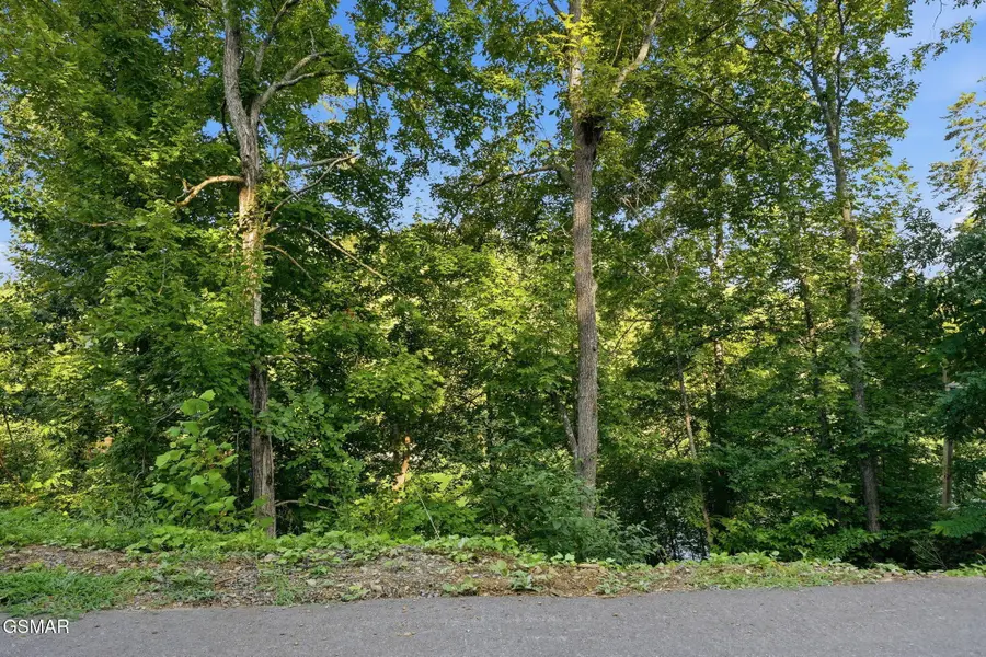 244 Jolene Way, Sevierville, TN 37876 - #2