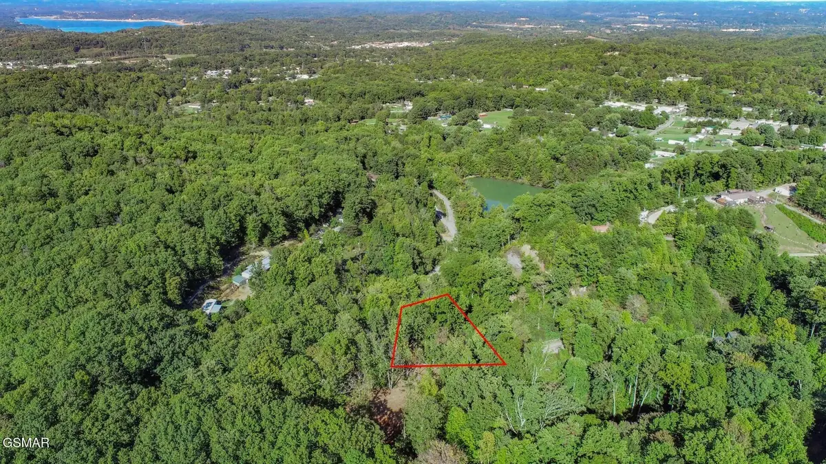 113 Huffman Way, Newport, TN 37821 - #1