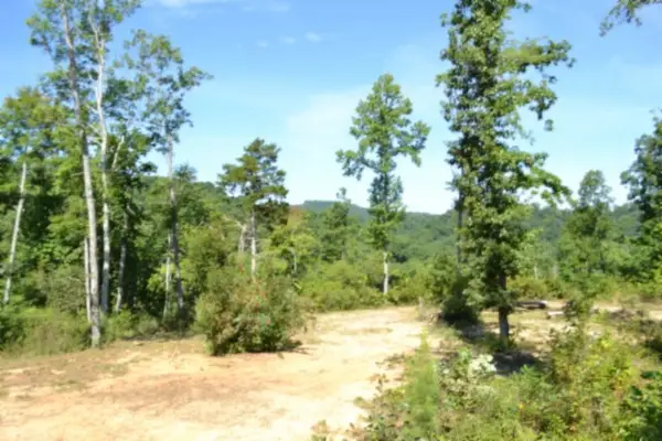 0 Rock Springs Rd, Celina, TN 38551
