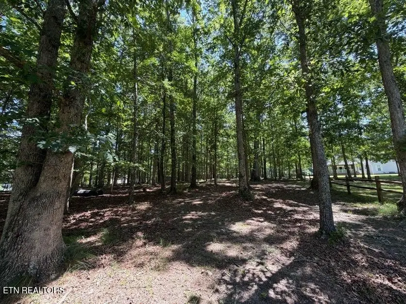 0 Forest Drive- Lot 34, Crossville, TN 38555 - #1